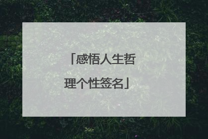 感悟人生哲理个性签名