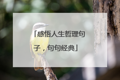 感悟人生哲理句子，句句经典