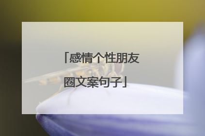 感情个性朋友圈文案句子