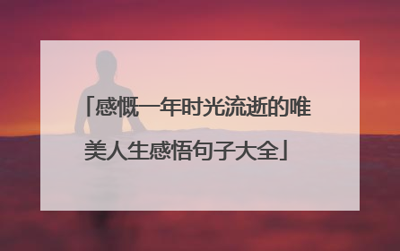 感慨一年时光流逝的唯美人生感悟句子大全