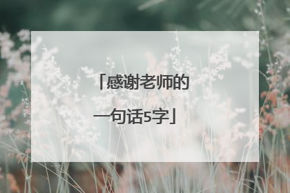 感谢老师的一句话5字