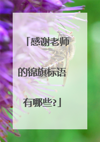 感谢老师的锦旗标语有哪些?