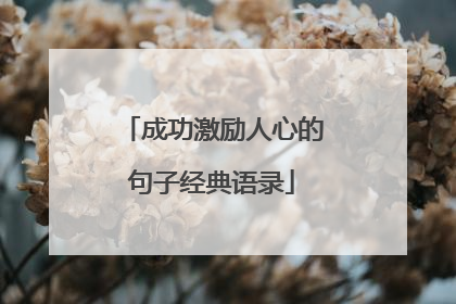 成功激励人心的句子经典语录