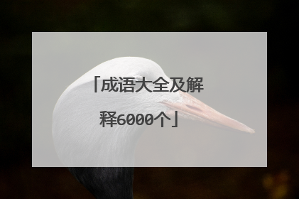 成语大全及解释6000个