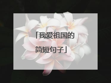 我爱祖国的简短句子