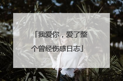 我爱你，爱了整个曾经伤感日志