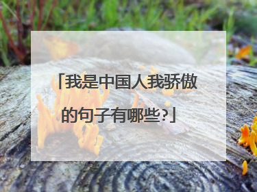 我是中国人我骄傲的句子有哪些?