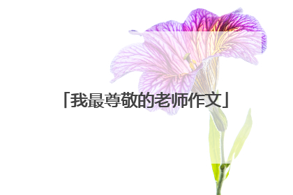 我最尊敬的老师作文