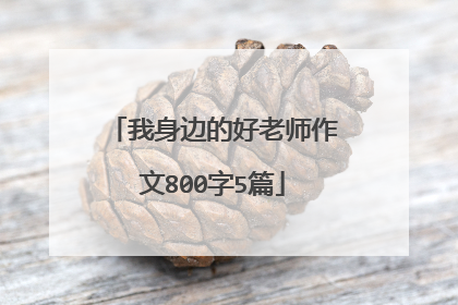 我身边的好老师作文800字5篇