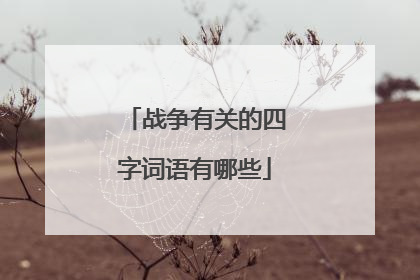 战争有关的四字词语有哪些