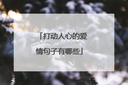 打动人心的爱情句子有哪些