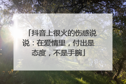 抖音上很火的伤感说说：在爱情里，付出是态度，不是手腕