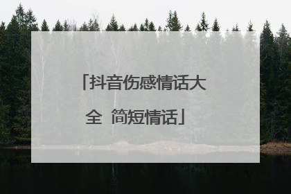 抖音伤感情话大全 简短情话