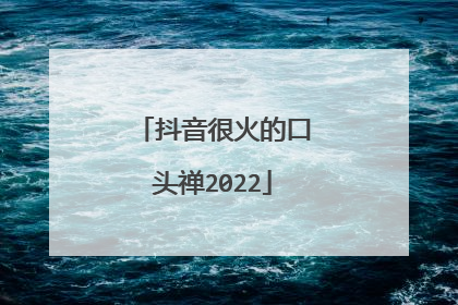 抖音很火的口头禅2022