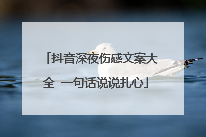 抖音深夜伤感文案大全 一句话说说扎心