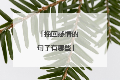 挽回感情的句子有哪些