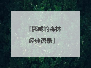 挪威的森林经典语录