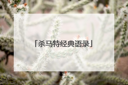 杀马特经典语录