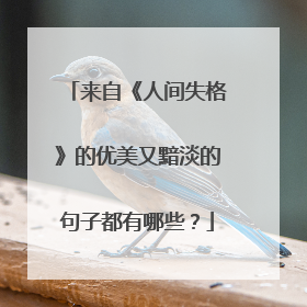 来自《人间失格》的优美又黯淡的句子都有哪些？