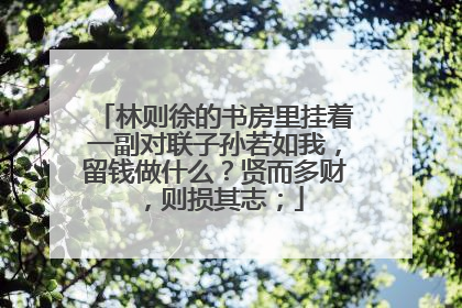 林则徐的书房里挂着一副对联子孙若如我，留钱做什么？贤而多财，则损其志；