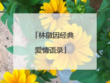 林徽因经典爱情语录