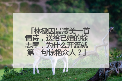 林徽因最凄美一首情诗，送给已婚的徐志摩，为什么开篇就第一句惊艳众人？