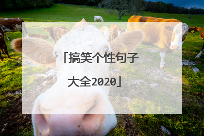 搞笑个性句子大全2020