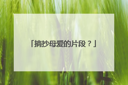 摘抄母爱的片段？