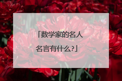 数学家的名人名言有什么?