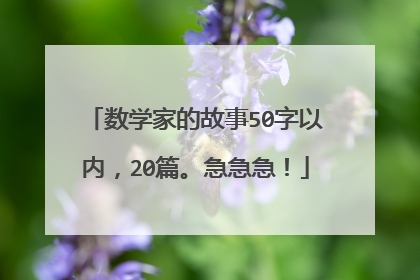 数学家的故事50字以内，20篇。急急急！