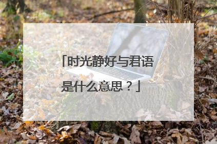 时光静好与君语是什么意思？