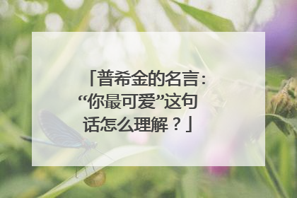 普希金的名言:“你最可爱”这句话怎么理解？