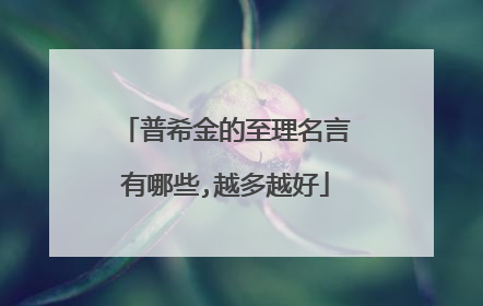 普希金的至理名言有哪些,越多越好