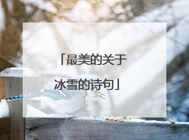 最美的关于冰雪的诗句