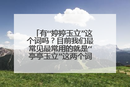 有“婷婷玉立”这个词吗？目前我们最常见最常用的就是“亭亭玉立”这两个词之间有什么关系