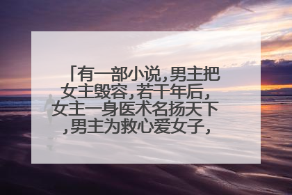 有一部小说,男主把女主毁容,若干年后,女主一身医术名扬天下,男主为救心爱女子,上门求药,求名字？