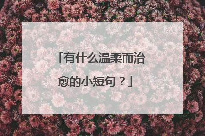 有什么温柔而治愈的小短句？