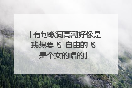 有句歌词高潮好像是 我想要飞 自由的飞 是个女的唱的