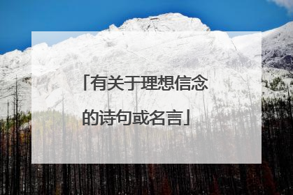 有关于理想信念的诗句或名言