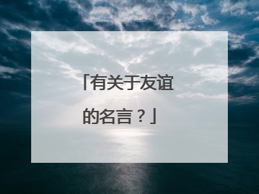 有关于友谊的名言？