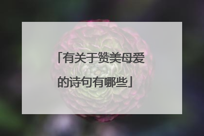 有关于赞美母爱的诗句有哪些