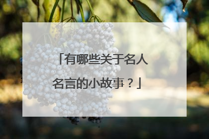 有哪些关于名人名言的小故事？