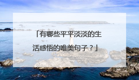 有哪些平平淡淡的生活感悟的唯美句子？