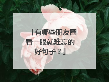 有哪些朋友圈看一眼就难忘的好句子？