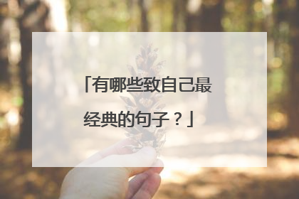 有哪些致自己最经典的句子？