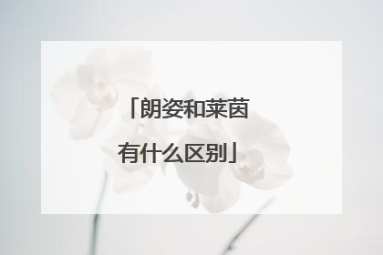 朗姿和莱茵有什么区别