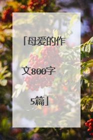 母爱的作文800字5篇