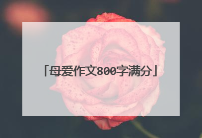 母爱作文800字满分