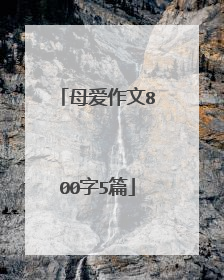 母爱作文800字5篇