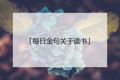 每日金句关于读书